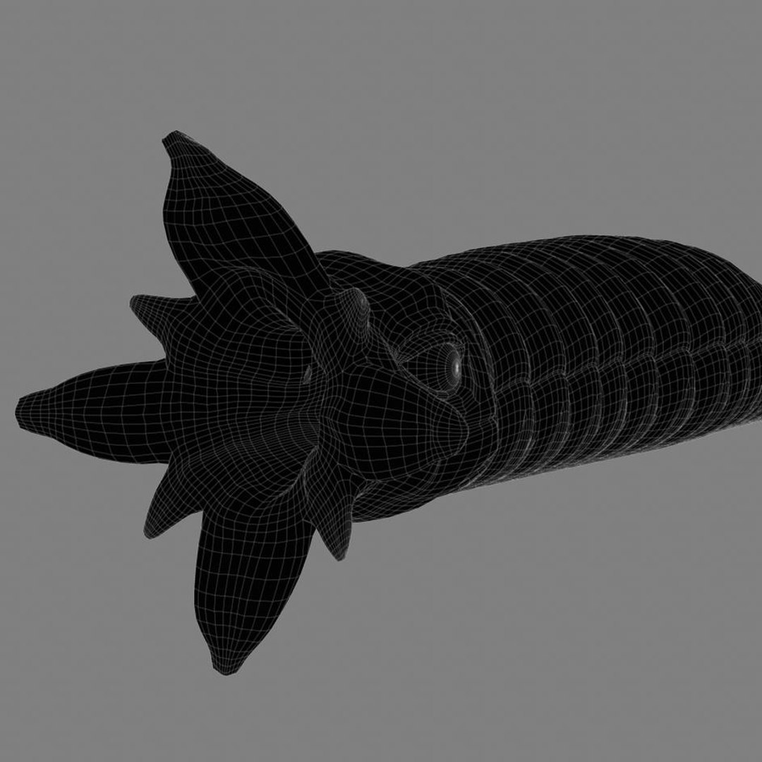 3d worm mouth https://p.turbosquid.com/ts-thumb/Na/ncZrHS/OXlojl97/camera2line.1/jpg/1328645465/1920x1080/fit_q87/61eaa347822c88588012ca8ba0f1bd32a5bc6226/camera2line.1.jpg