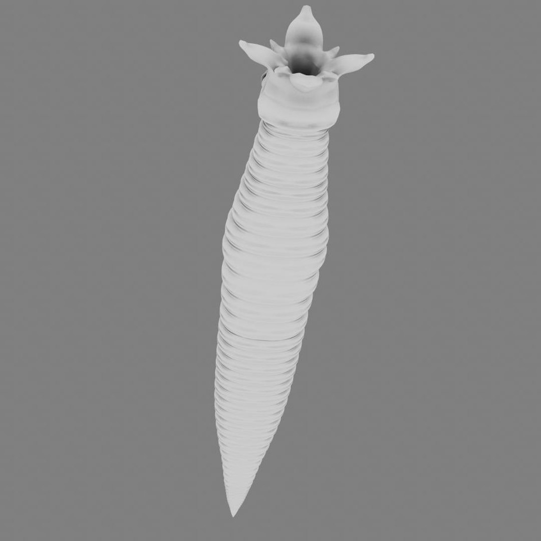 3d worm mouth https://p.turbosquid.com/ts-thumb/Na/ncZrHS/PN1ittMy/camera9ao.1/jpg/1328645465/1920x1080/fit_q87/ec6284832c9e96419f3a67ef4d0793113ffeef1f/camera9ao.1.jpg
