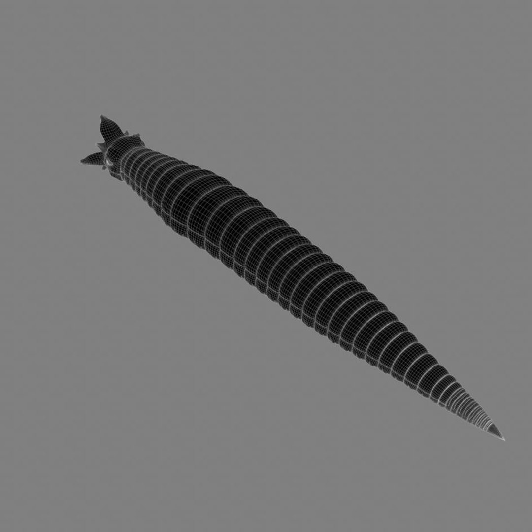 3d worm mouth https://p.turbosquid.com/ts-thumb/Na/ncZrHS/VOwtfTX7/camera13line.1/jpg/1328645465/1920x1080/fit_q87/8eca184920b8c9f47e7c15b99dce53885b62843d/camera13line.1.jpg