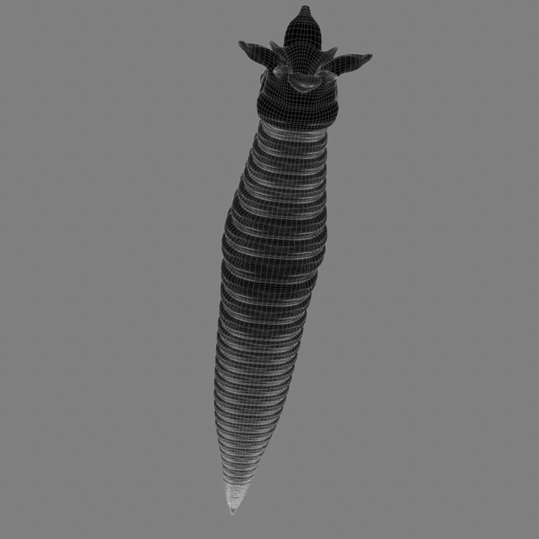 3d worm mouth https://p.turbosquid.com/ts-thumb/Na/ncZrHS/igPH4TGa/camera9line.1/jpg/1328645465/1920x1080/fit_q87/62b14cbd905788855c6a7d4aeaaf6a92389814cf/camera9line.1.jpg