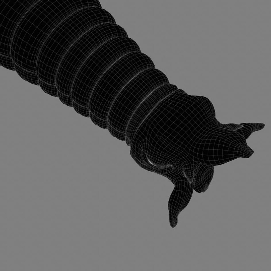 3d worm mouth https://p.turbosquid.com/ts-thumb/Na/ncZrHS/k9aHptY1/camera12line.1/jpg/1328645465/1920x1080/fit_q87/bbe18ff096d2997f908e71d7b4f38b476adeac9d/camera12line.1.jpg