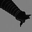Worm