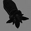 Worm
