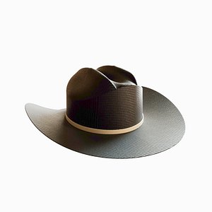 Hat - Character Asset 3D 3D model