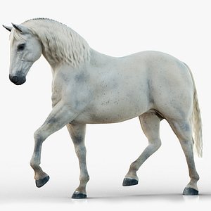 Horse 2026 White RIG XGEN
