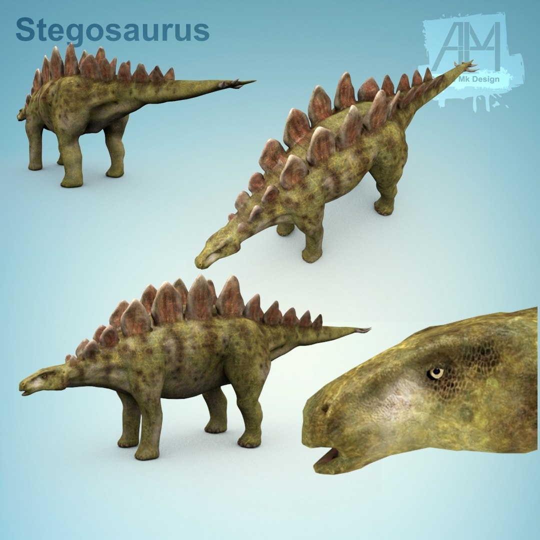3d 3ds Stegosaurus Dinosaur Dino