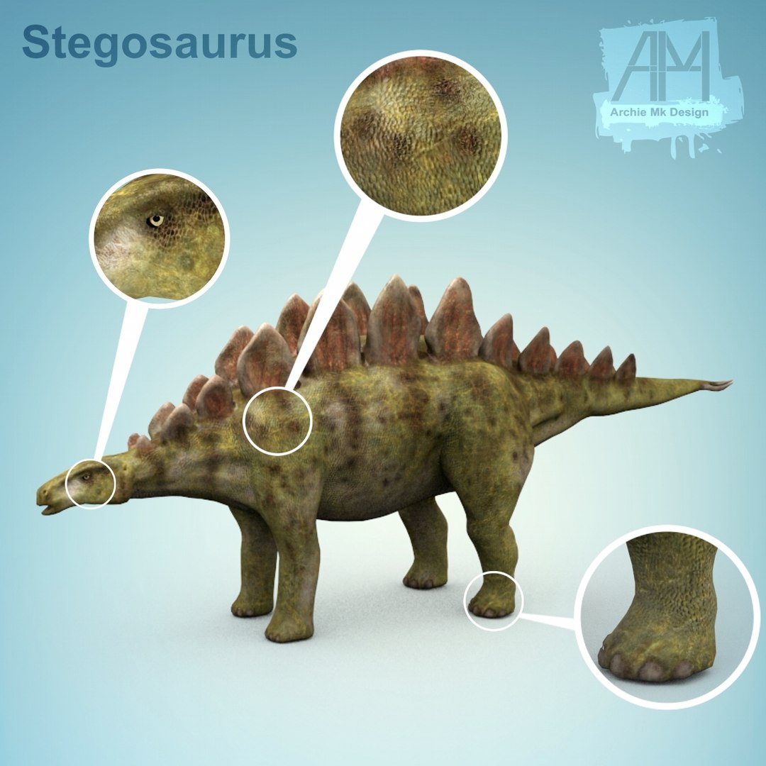 3d 3ds Stegosaurus Dinosaur Dino