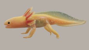 3D Axolotl WITH Basic Rig BLENDER