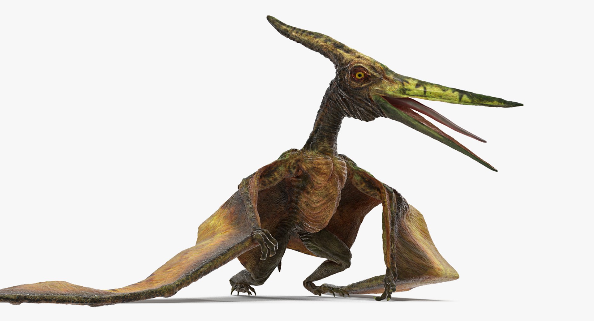 Carnivorous Dinosaurs Collection 2 model https://p.turbosquid.com/ts-thumb/Nb/WKUDpl/V1Lyssms/pteranodonflyingcarnivorousreptilestandingposevray3dmodel001/jpg/1648874567/1920x1080/fit_q87/c353bb5067e56a0d72ca54944f57d784044941ab/pteranodonflyingcarnivorousreptilestandingposevray3dmodel001.jpg