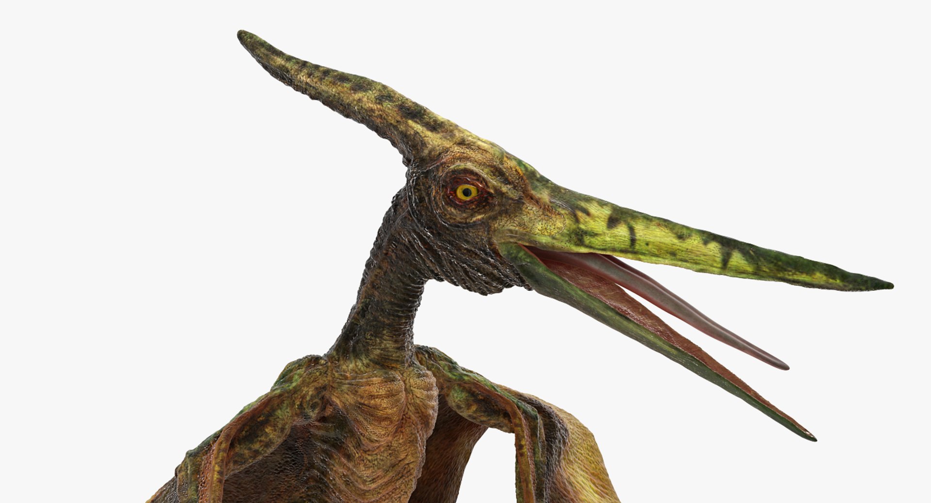 Pteranodon flying carnivorous reptile 3D model - TurboSquid 1402550