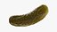 Pickled Cucumber 03 3D model