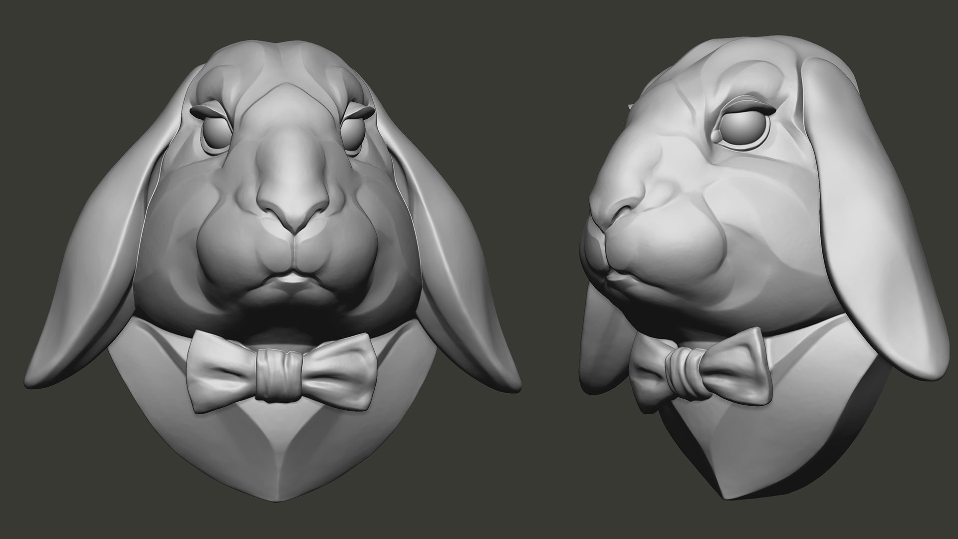 Lop Eared Rabbit Head Sculpture STL Model - TurboSquid 1978669
