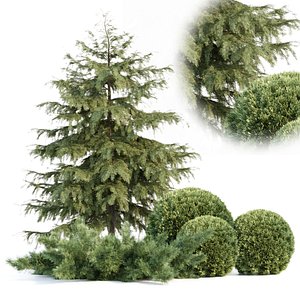 Seasonal Juniper Garden collection vol 143 3D model