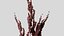 Grama decorativa Rumex confertus