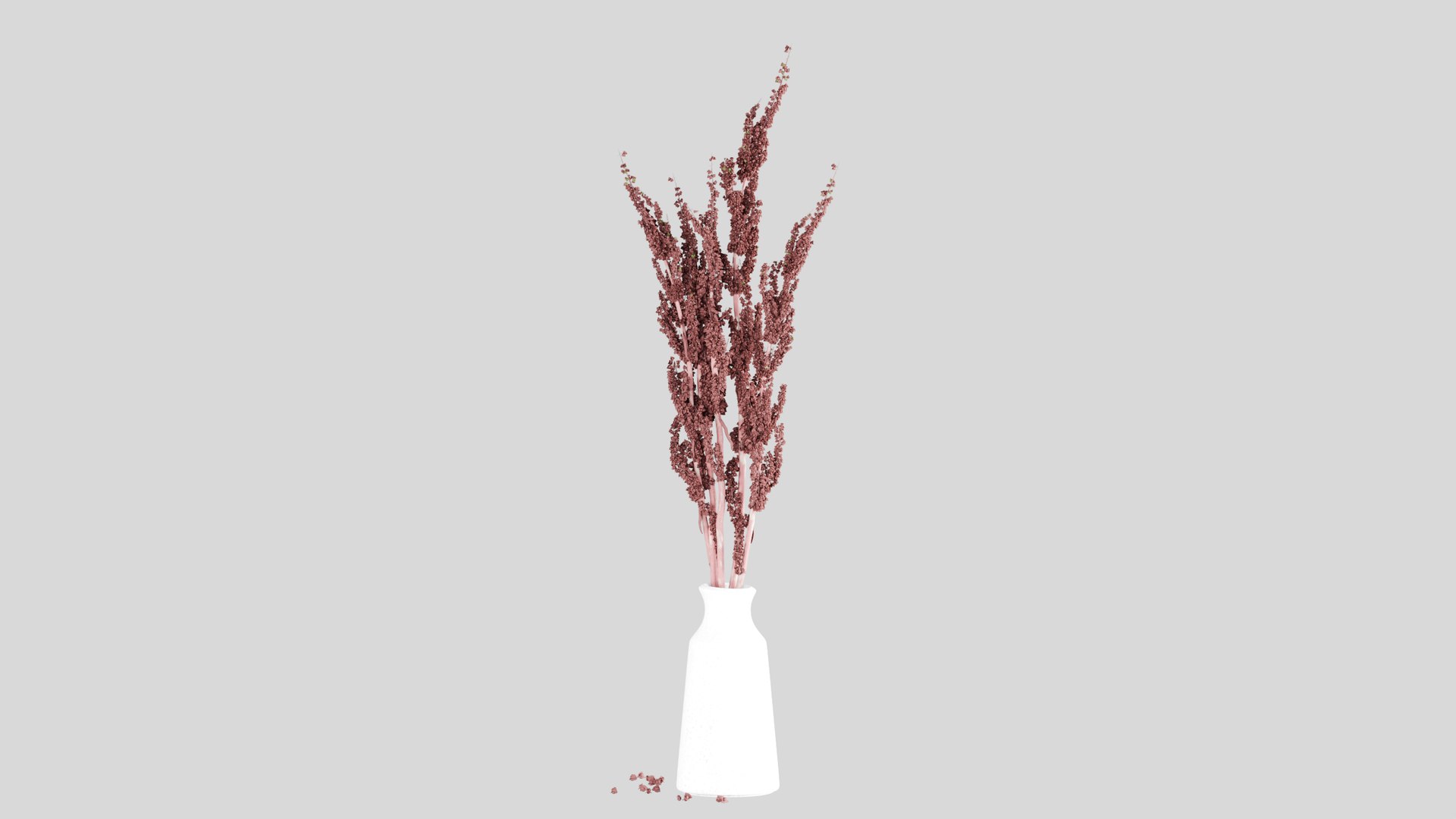 Rumex confertus decorative grass 3D model https://p.turbosquid.com/ts-thumb/Nc/4PXoLd/N3/z0001/jpg/1705253580/1920x1080/fit_q87/3f9fd5f95b63ccb0c53828df88f02c5a279d7557/z0001.jpg