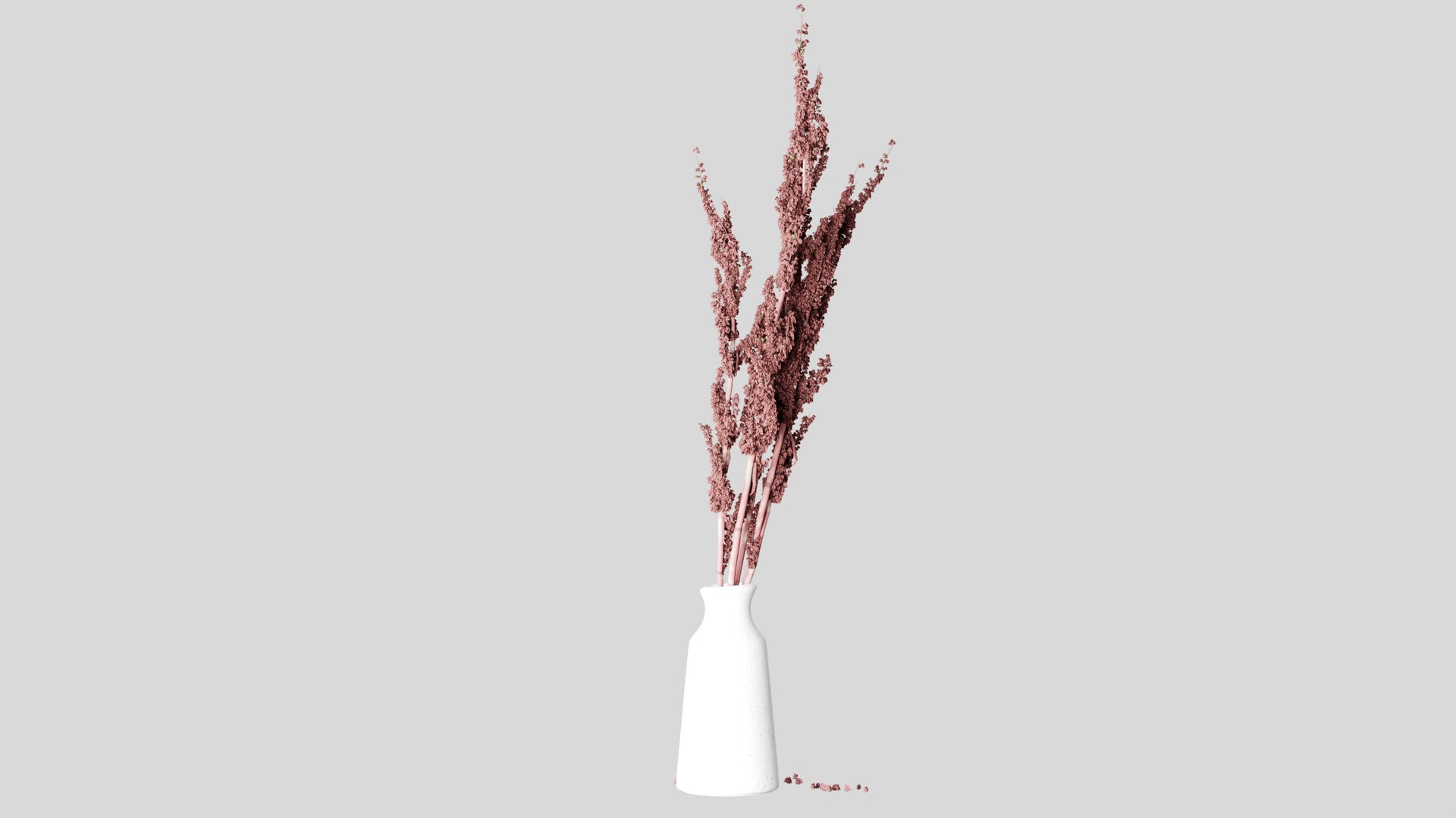 Rumex confertus decorative grass 3D model https://p.turbosquid.com/ts-thumb/Nc/4PXoLd/d4/z0002/jpg/1705253581/1920x1080/fit_q87/f1def6abb9ab44caa450d4e244a2a814a6a9b3f5/z0002.jpg
