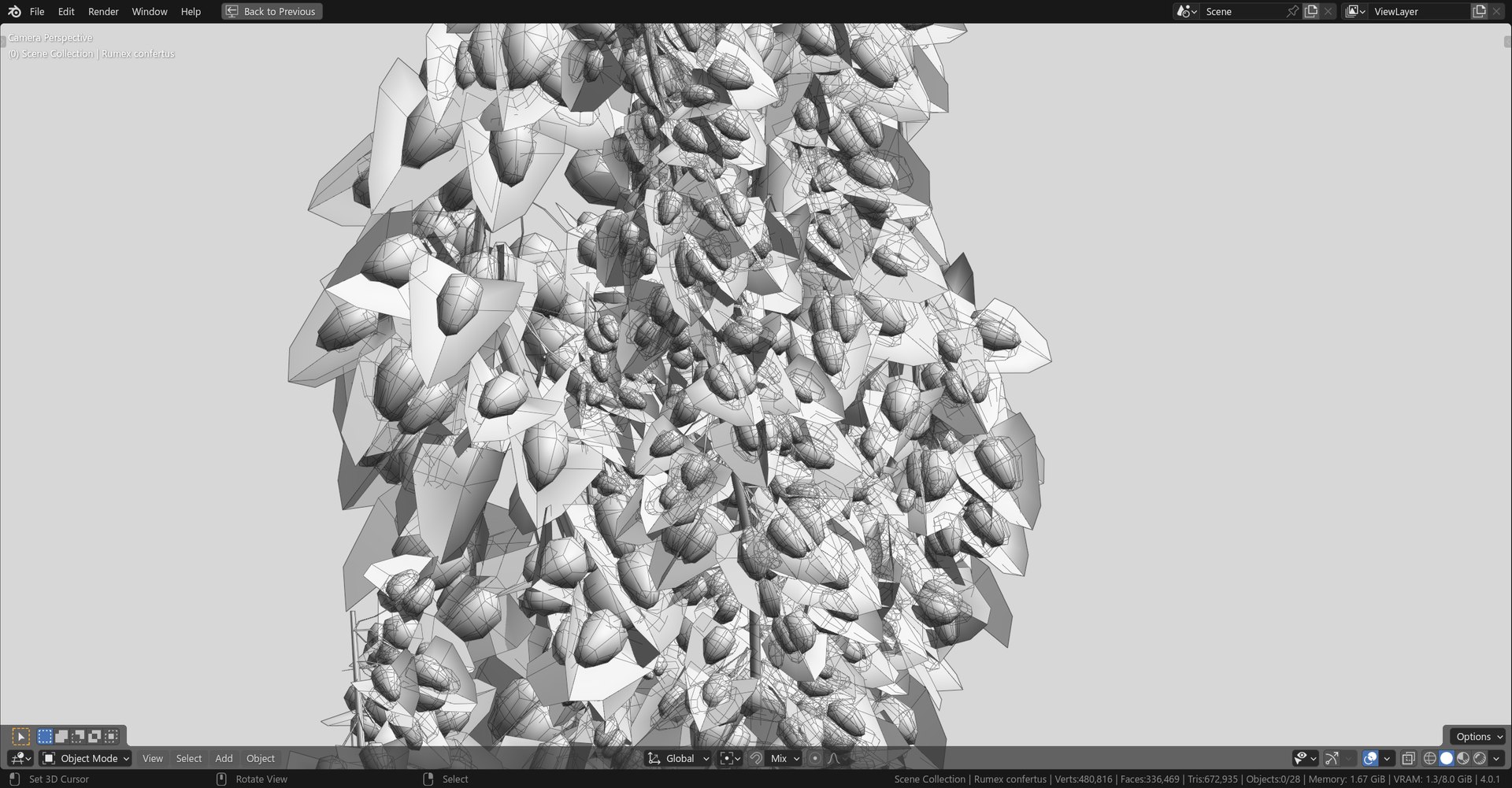 Rumex confertus decorative grass 3D model https://p.turbosquid.com/ts-thumb/Nc/4PXoLd/n9/wr_3/png/1705251886/1920x1080/fit_q87/379e52887b4a3f138d00e02f3870401a63bcc144/wr_3.jpg