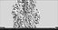 Grama decorativa Rumex confertus