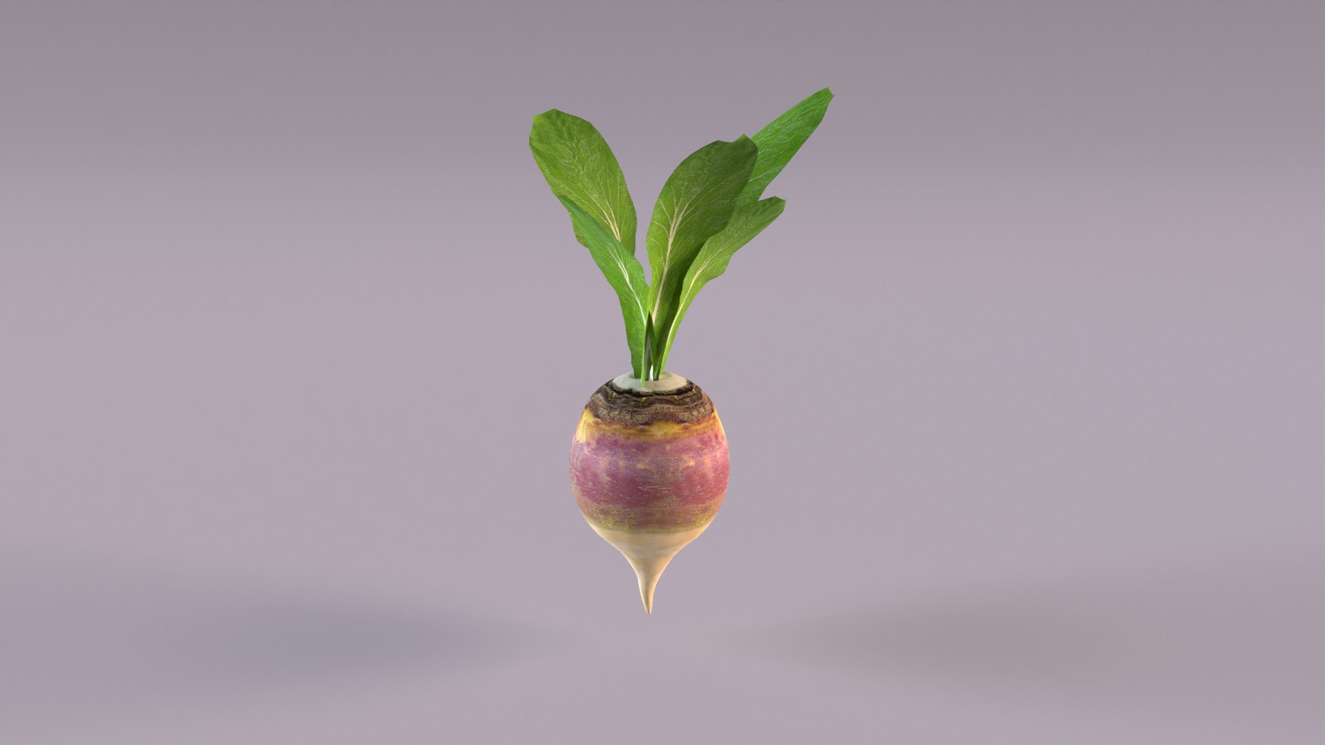 Turnip Max