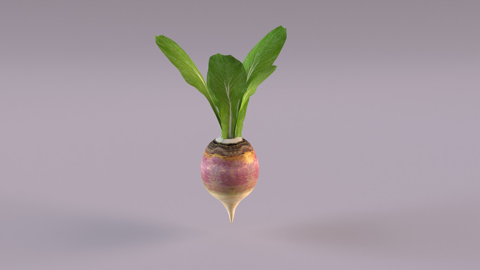 Turnip Max