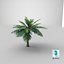 3D model Cartoon Palm Tree 01
