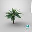 3D model Cartoon Palm Tree 01