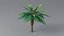 3D model Cartoon Palm Tree 01