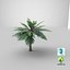 3D model Cartoon Palm Tree 01