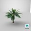 3D model Cartoon Palm Tree 01