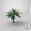 3D model Cartoon Palm Tree 01