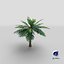 3D model Cartoon Palm Tree 01