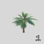 3D model Cartoon Palm Tree 01