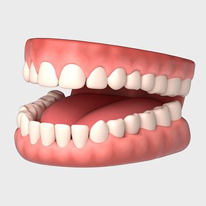 Human Mouth Teeth Tongue