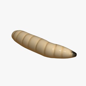 animated maggot 3D model