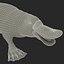 Platypus Fur