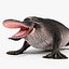 Platypus Fur