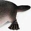 Platypus Fur