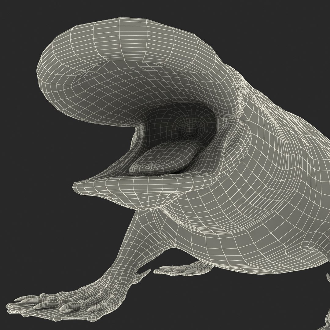 3d model platypus fur https://p.turbosquid.com/ts-thumb/Nc/Ox2gvI/a3v2TtLD/platypusfur_20/jpg/1410537221/1920x1080/fit_q87/ebcbee64f407b94dc23094a85f7277ed14b6b9d4/platypusfur_20.jpg