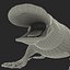 Platypus Fur
