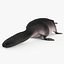 Platypus Fur