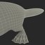 Platypus Fur