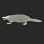 Platypus Fur