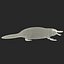 Platypus Fur