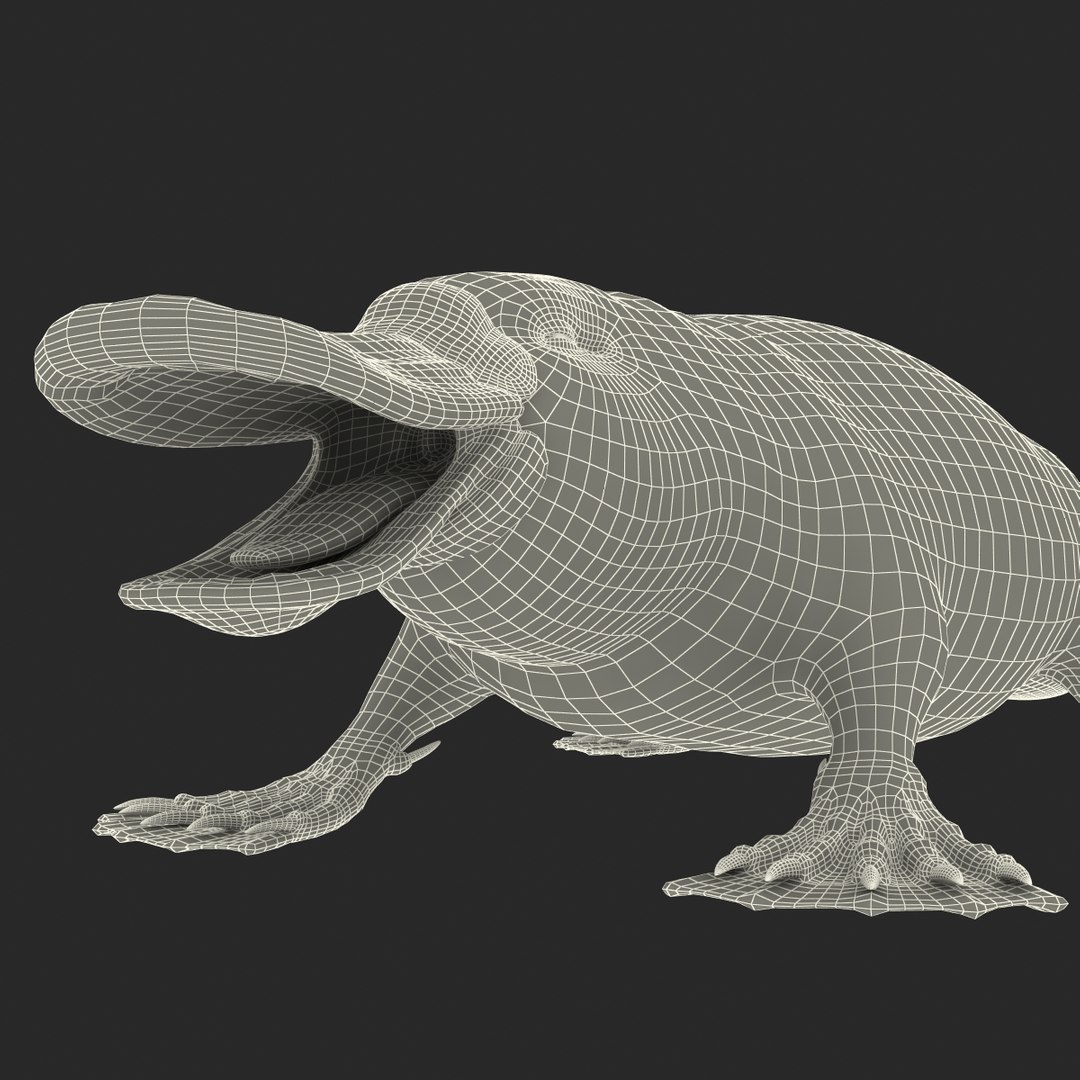 3d model platypus fur https://p.turbosquid.com/ts-thumb/Nc/Ox2gvI/yASyEaif/platypusfur_16/jpg/1410537174/1920x1080/fit_q87/06bad1be83e04ef0461d213b5e8b5edad83f782d/platypusfur_16.jpg