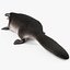 Platypus Fur