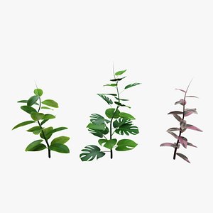 Procedural Growing Plants model