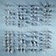 petergof tiagi molding 3-635