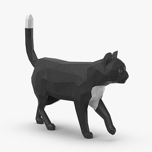 Cat Walking