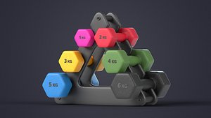 Fitness Dumbbells with Rack