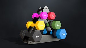 Set of fitness dumbbells with a stand model